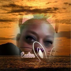 Meet your Posher, Nika